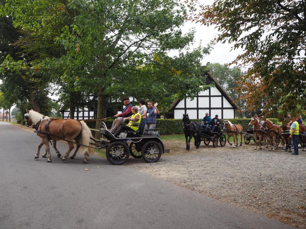 Ferienhof Hage Acomodação com café da manhã Hüde Exterior foto